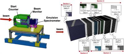 Measuring the Impact of Nuclear Interaction in Particle Therapy and in Radio Protection in Space: the FOOT Experiment